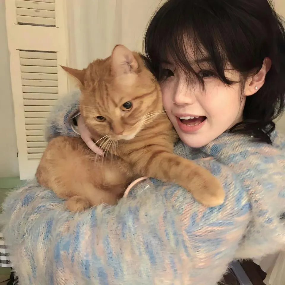 2024春节藏历新年联欢晚会